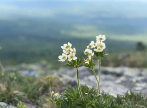 В 2026 году больше не будет длинных выходных
