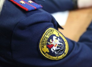 СМИ: Мать пропавших в лесу детей увезли в Следственный комитет
