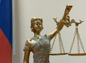 Японский бренд засудил на 300 миллионов рублей продавца контрафакта, «толкавшего» его через Ozon