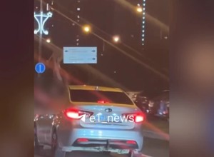 Девушка с голой грудью высунулась из машины во время движения в Академическом
