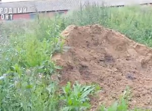 У свердловского приюта для собак нашли зарытые трупы животных