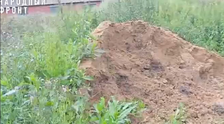 У свердловского приюта для собак нашли зарытые трупы животных