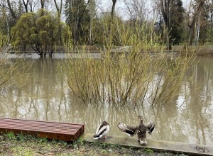 В Екатеринбурге набережная в центре ушла под воду