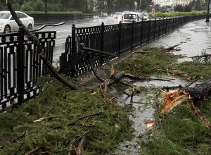 Стихия обрушилась на Екатеринбург