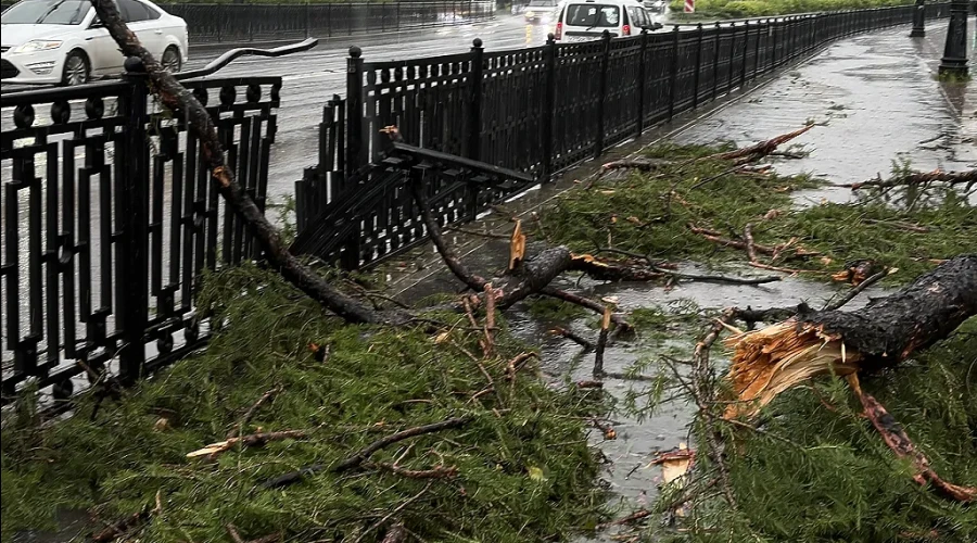 Стихия обрушилась на Екатеринбург
