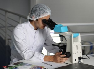 Эффективность российского препарата от рака может достигать 100% — эксперт