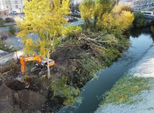 Екатеринбуржцы жалуются на массовую вырубку деревьев на набережной Исети