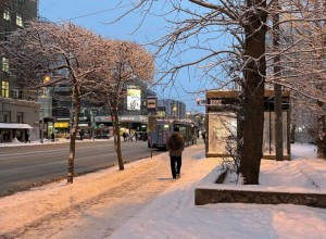 Орлов оправдал снос ларьков на остановке кратким ожиданием транспорта