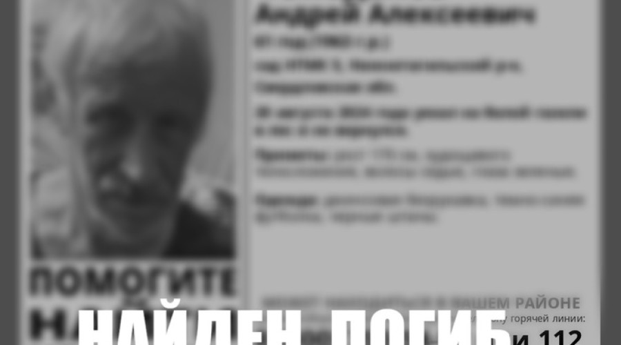В Нижнем Тагиле нашли мертвым уехавшего на «Газели» 61-летнего мужчину