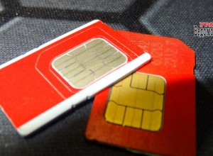 Минцифры предложило добавить на «Госуслуги» информацию о сим-картах