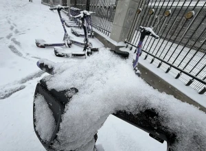 Сильные снегопады пообещали свердловчанам