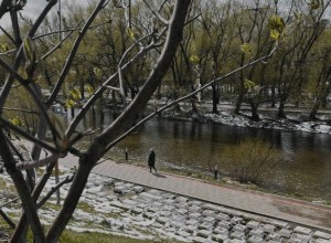 В Госдуме предложили сделать майские выходные непрерывными