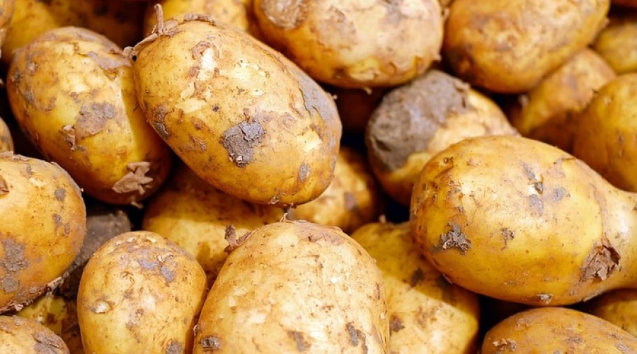 СМИ: Реальная продуктовая инфляция в России за год составила 25-30%