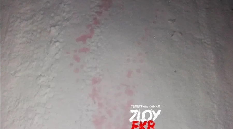 На ВИЗе заметили разлитую отраву на снегу