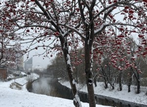 К Свердловской области подбираются холода