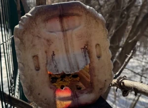 Парк Маяковского в Екатеринбурге избавится от «доморощенных» кормушек