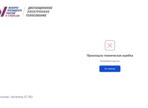 В Екатеринбурге в первый день выборов лег портал Госуслуг