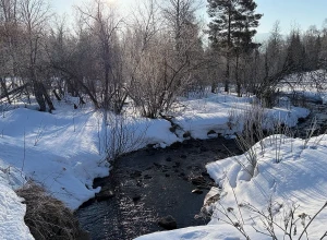 Несколько городов Свердловской области могут быть подтоплены весной