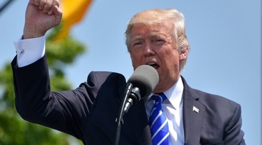 СМИ: Путин и Трамп созвонились по поводу прекращения СВО