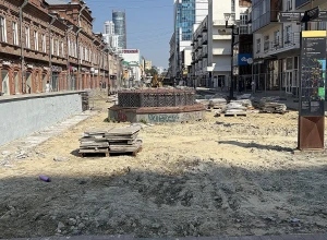 Директор «Атмофеста» предложила озеленить улицу Вайнера по-настоящему
