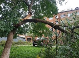 Скончался мотоциклист, на которого в Реже 9 мая упало дерево