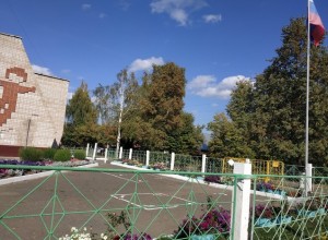 Закон о российском триколоре над всеми учебными заведениями принят Госдумой в I чтении