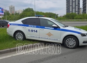 Екатеринбургские водители возмутились патрульным авто, припаркованным на газоне
