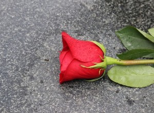 Охотника, застрелившего девушку в Байкалово, не стали брать под стражу