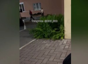Что известно о трагедии в Екатеринбурге, где школьник убил девушку