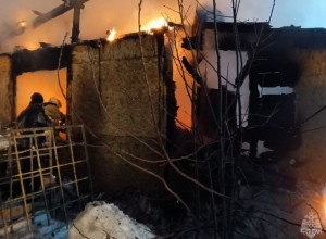 СМИ: 78-летняя бабушка сгорела заживо из-за морозов в Подмосковье