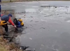 В Москве из воды достали тело мужчины, решившего перейти водоем по тонкому льду