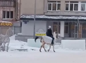 В свердловском городе «взбесилась» лошадь, катавшая детей