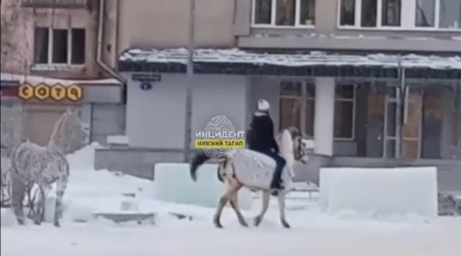 В свердловском городе «взбесилась» лошадь, катавшая детей