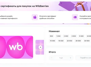 В Госдуме поддержали идею установить самозапрет на покупки на маркетплейсах