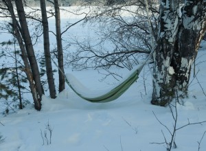 Весна близко! В Свердловскую область идёт потепление