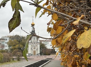 До + 12 градусов потеплеет в Свердловской области