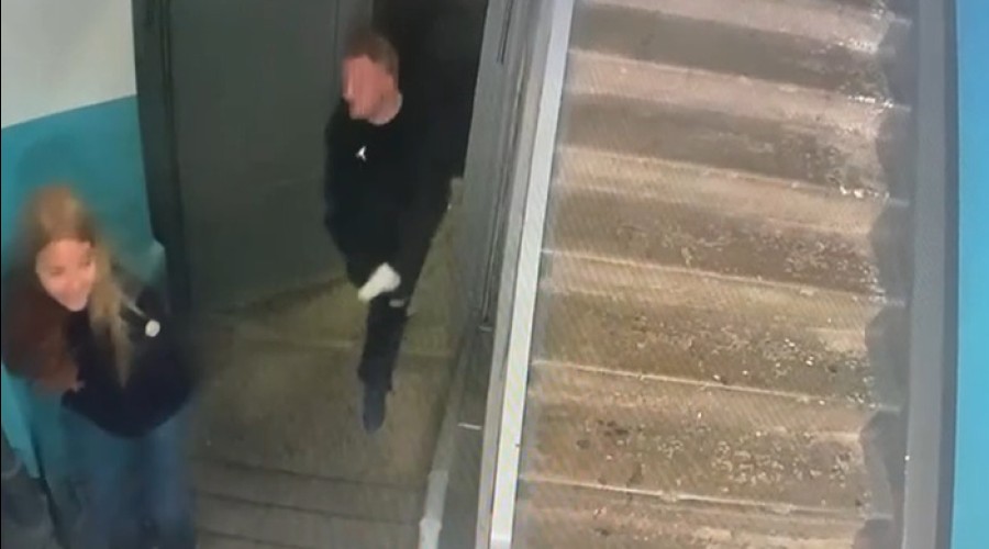 В Екатеринбурге хозяева собаки устроили самосуд над таксистом, сбившим их питомца