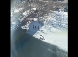 В Екатеринбурге мужчина, рискуя жизнью, спас упавшую в Исеть собаку
