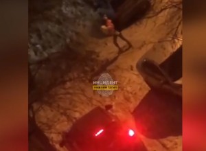 В Свердловской области женщина с ребенком на руках бросилась на колени перед водителем авто
