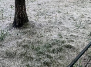 В Екатеринбурге дети массово поджигают тополиный пух