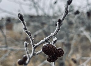 Синоптики сообщили, когда Свердловскую область засыплет снегом