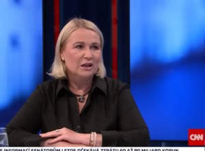«Давайте выйдем». Министр обороны Чехии призвала страну выйти из ООН из-за резолюции по сектору Газа