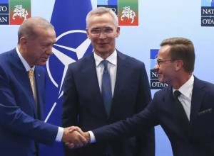 Источник назвал давление на Турцию по членству Швеции в НАТО бесполезным