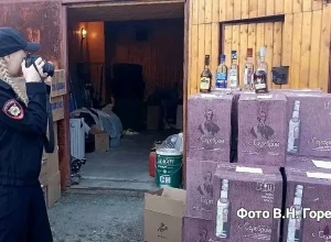 «Армянский коньяк» и водка «Царская»: под Екатеринбургом полицейские изъяли партию контрафакта