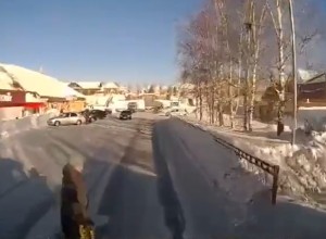 В Свердловской области водитель грузовика сбил бабушку на пешеходном переходе