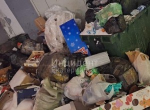 Жители Екатеринбурга сообщили о неубранных с прошлого года помойках