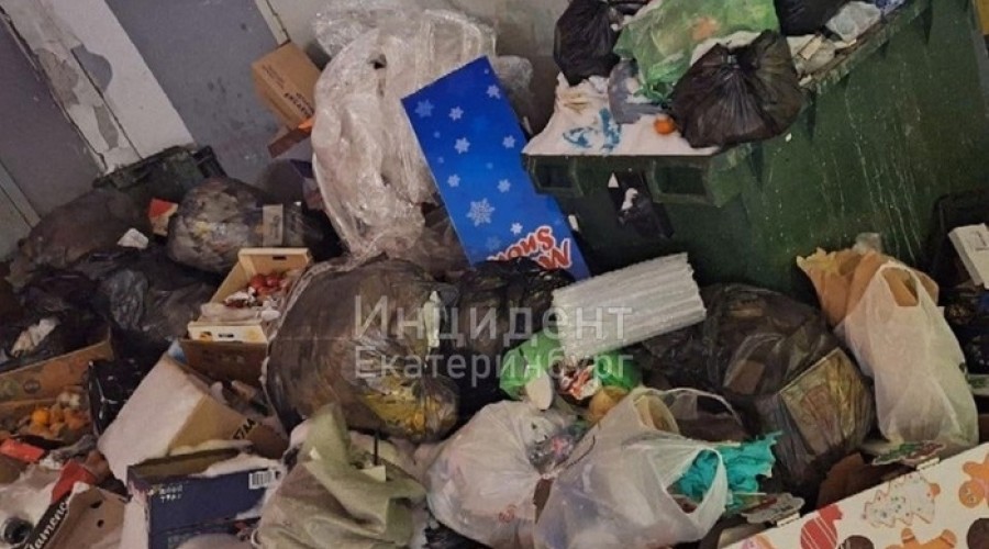 Жители Екатеринбурга сообщили о неубранных с прошлого года помойках