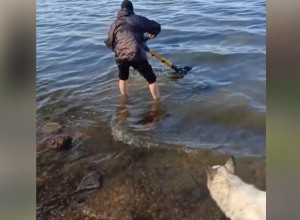 В Екатеринбурге спасли утопленный в ледяной воде электросамокат