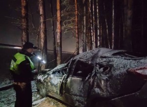 Погиб пассажир: легковушку занесло на заснеженной свердловской трассе