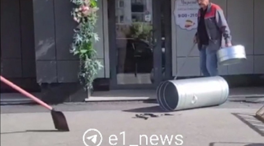 В Екатеринбурге к кофейне приползла огромная змея